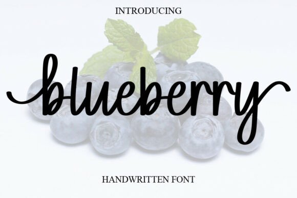 Blueberry