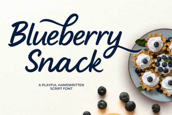 Blueberry Snack